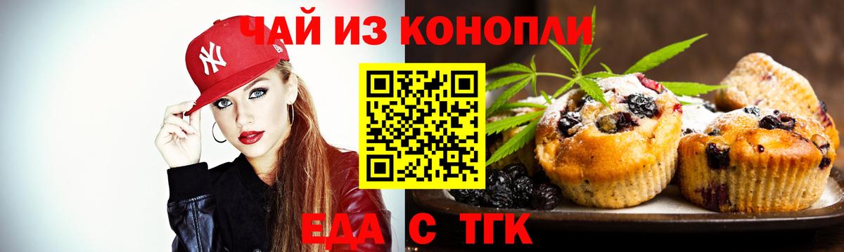 APVP Медногорск