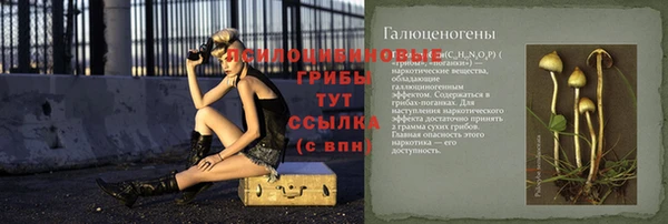 ПСИЛОЦИБИНОВЫЕ ГРИБЫ Верея