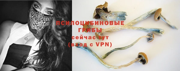 ПСИЛОЦИБИНОВЫЕ ГРИБЫ Верея