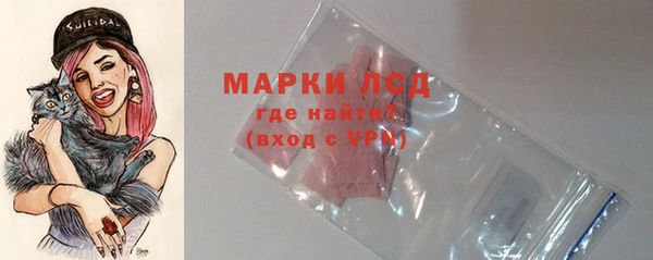 прущие грибы Тобольск