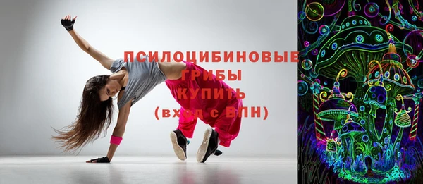 ПСИЛОЦИБИНОВЫЕ ГРИБЫ Верея