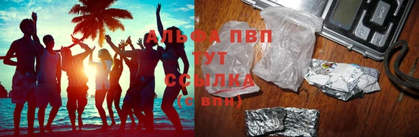 ПСИЛОЦИБИНОВЫЕ ГРИБЫ Верея