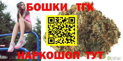 стаф Кингисепп