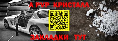 стаф Кингисепп