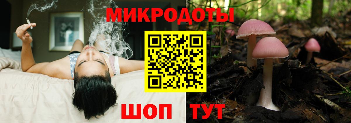Псилоцибиновые грибы Psilocybe Медногорск